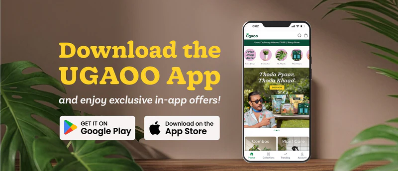 mobile banners 02
